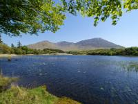 Ausblick über den Maladrolaun Lough - Connemara, Co. Galway
